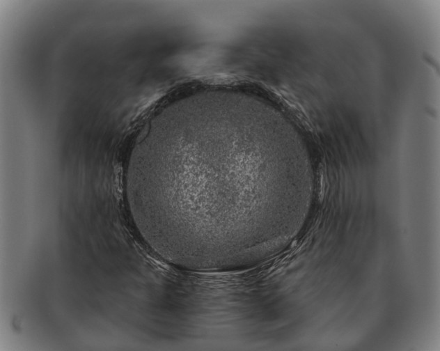 X0000091721301200708311129