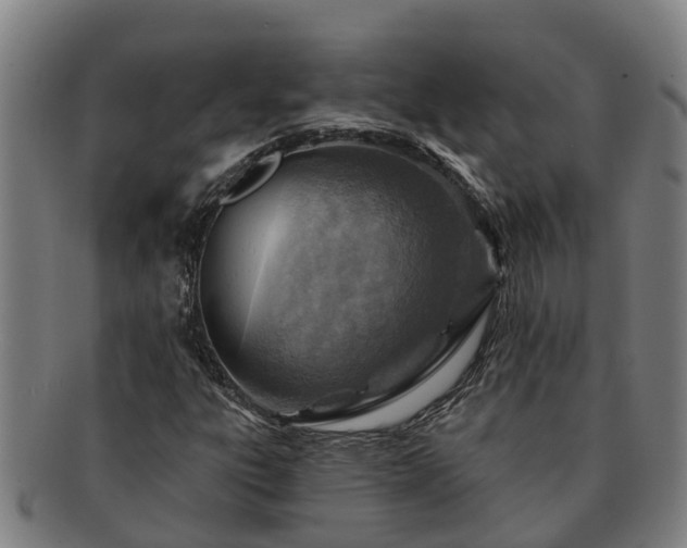 X0000091721303200708311129