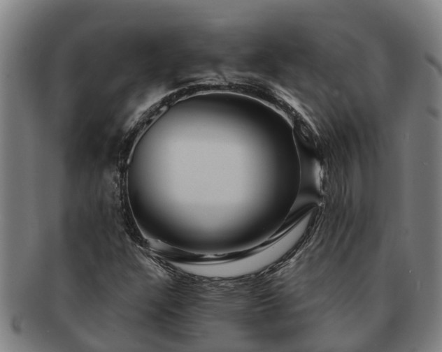 X0000091721304200708311129