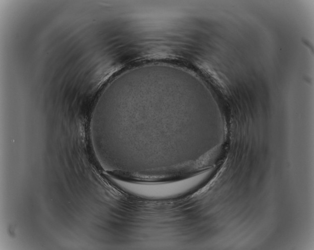 X0000091721305200708311129