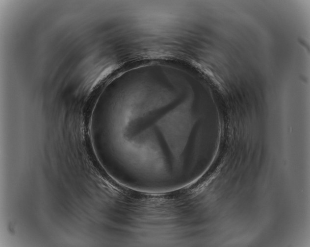 X0000091721306200708311129