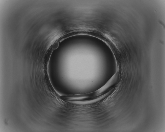 X0000091721307200708311129