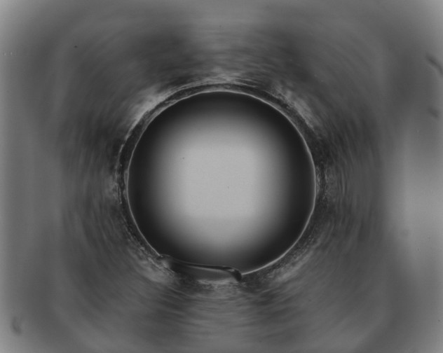 X0000091721308200708311129