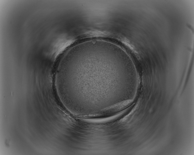 X0000091721309200708311129
