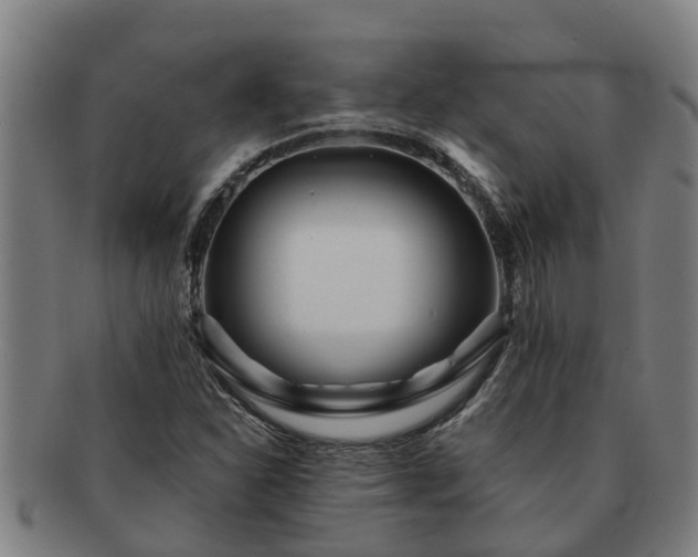 X0000091721310200708311129
