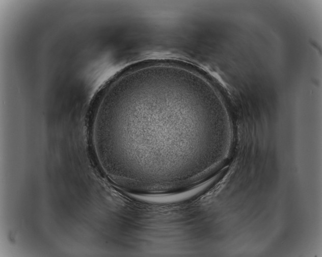 X0000091721311200708311129