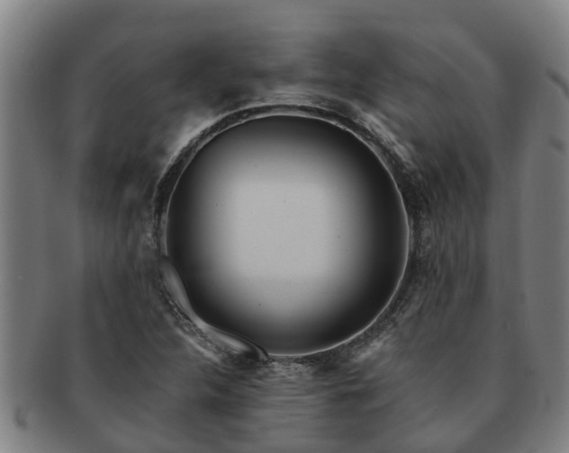 X0000091721312200708311129