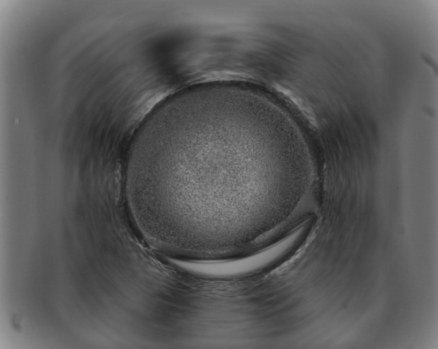 X0000091721313200708311129