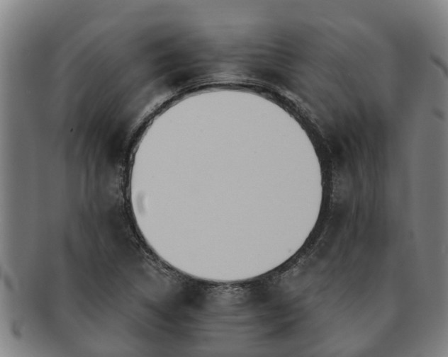 X0000091721314200708311129