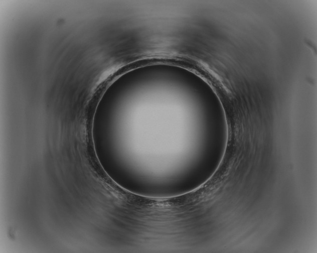 X0000091721315200708311129