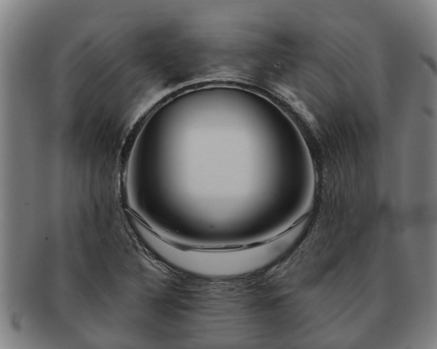 X0000091721316200708311129