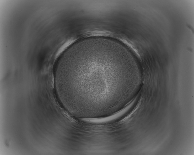 X0000091721317200708311129