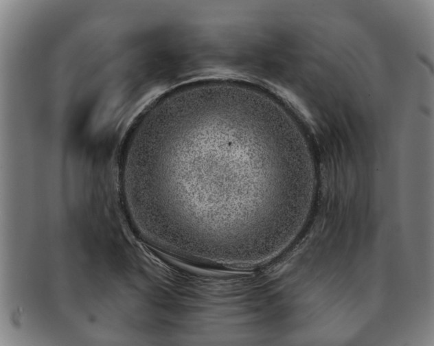 X0000091721318200708311129