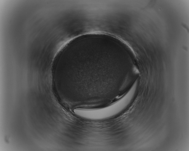 X0000091721319200708311129