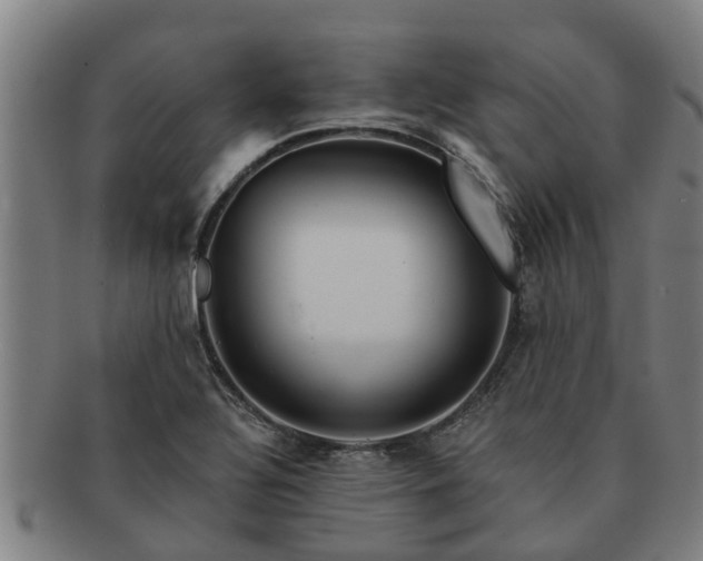 X0000091721320200708311129