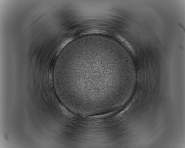 X0000091721321200708311129