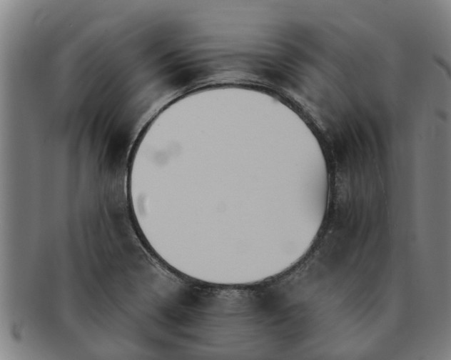 X0000091721322200708311129