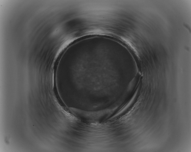 X0000091721323200708311129