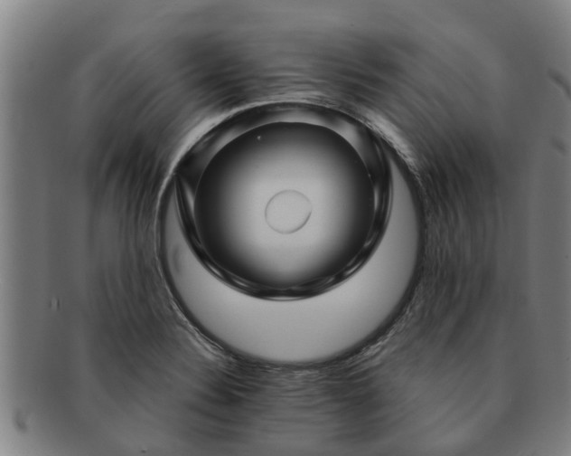 X0000091721324200708311129