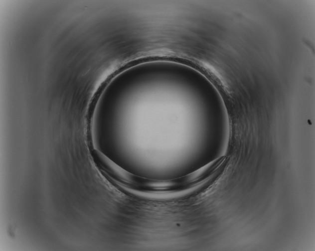 X0000091721326200708311129