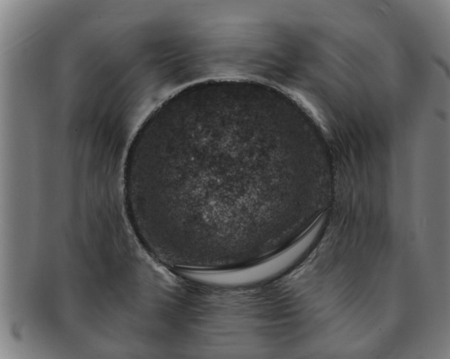 X0000091721327200708311129