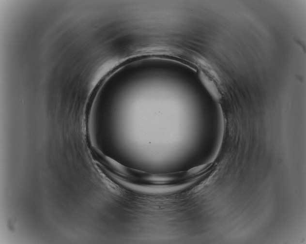 X0000091721328200708311129