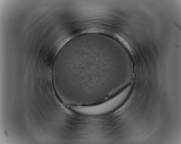X0000091721329200708311129