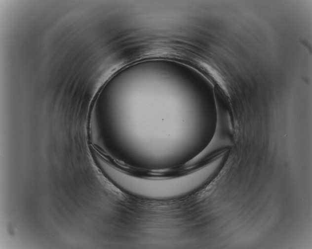 X0000091721330200708311129