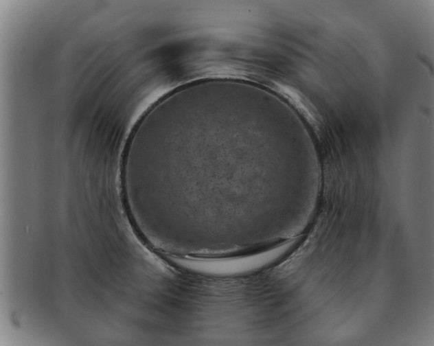 X0000091721331200708311129