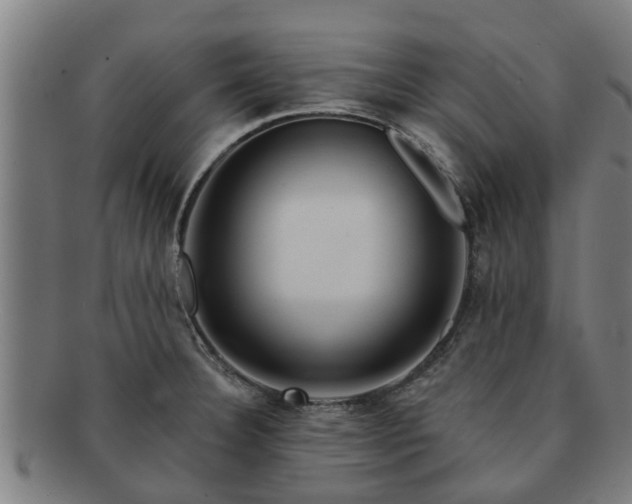 X0000091721332200708311129