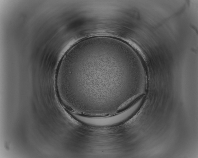 X0000091721333200708311129