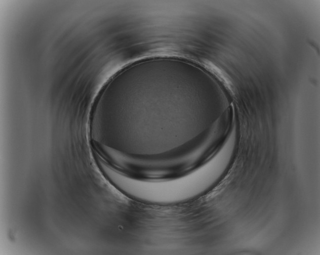 X0000091721334200708311129