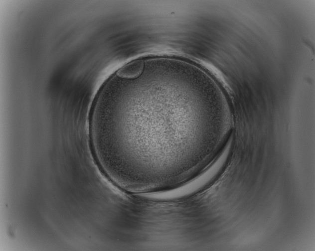 X0000091721335200708311129