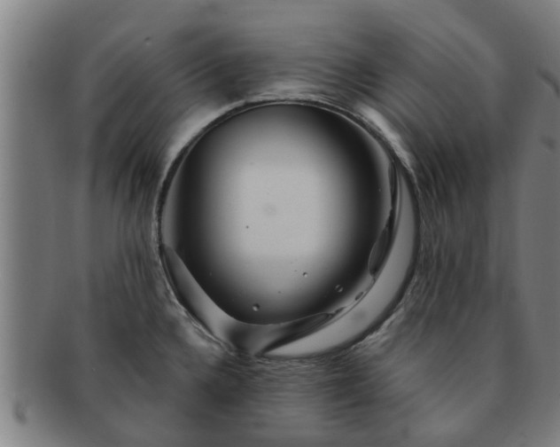 X0000091721336200708311130