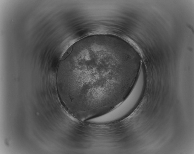 X0000091721337200708311130