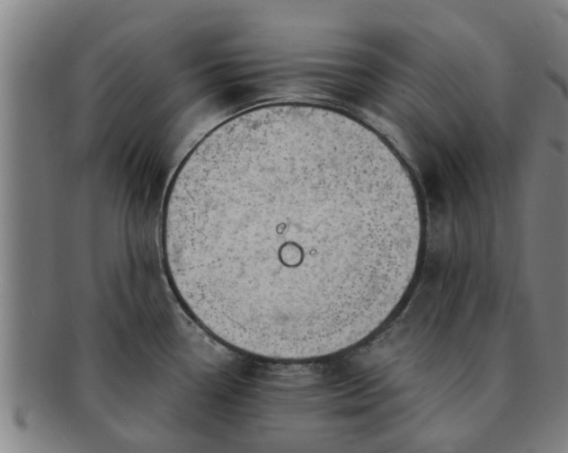 X0000091721338200708311130