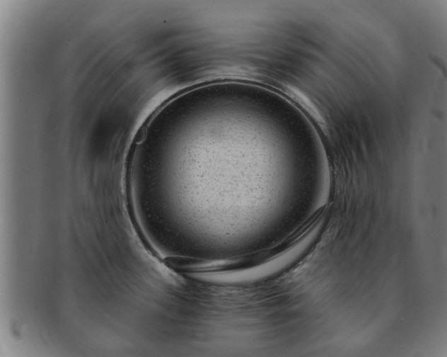 X0000091721339200708311130