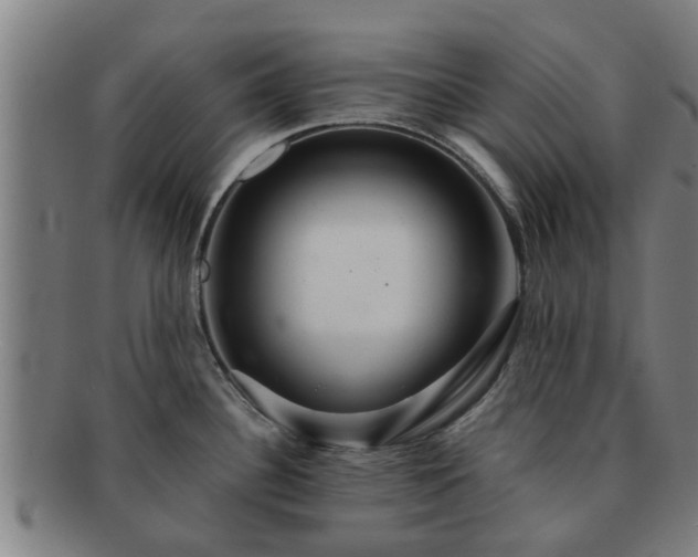 X0000091721340200708311130