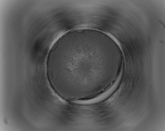X0000091721341200708311130