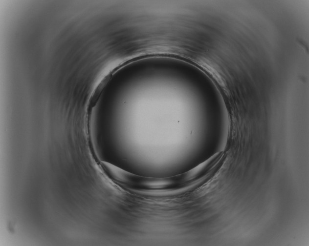 X0000091721342200708311130