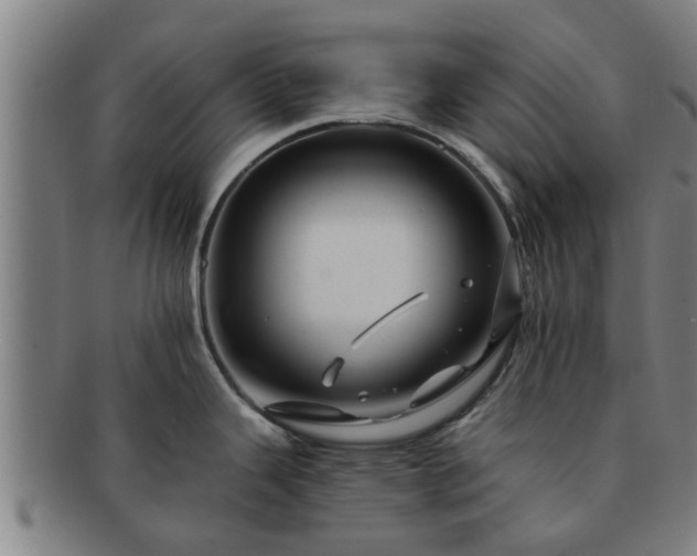 X0000091721343200708311130