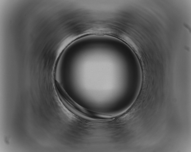 X0000091721344200708311130