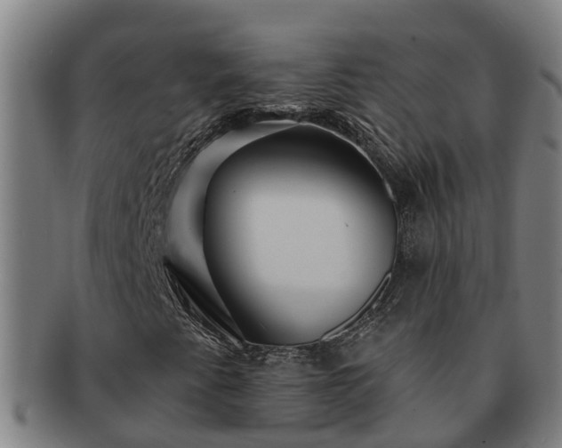 X0000091721345200708311129