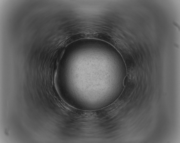 X0000091721346200708311129