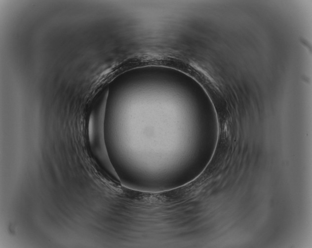 X0000091721348200708311129