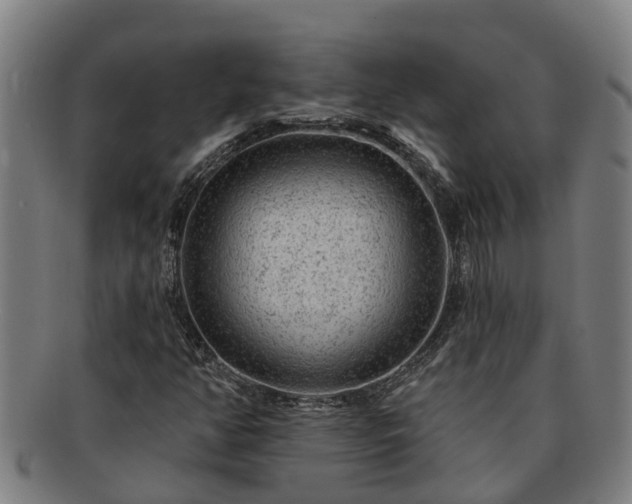 X0000091721350200708311129