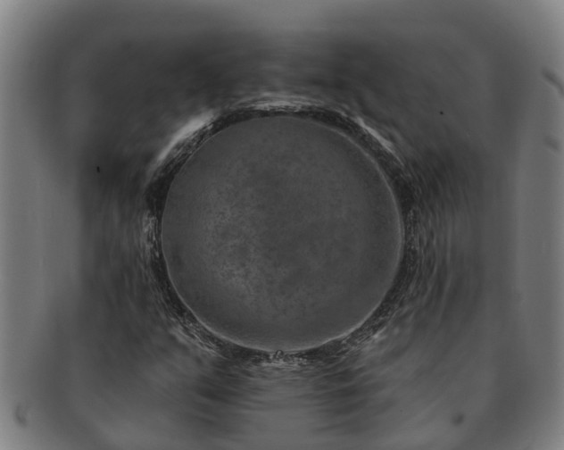 X0000091721351200708311129