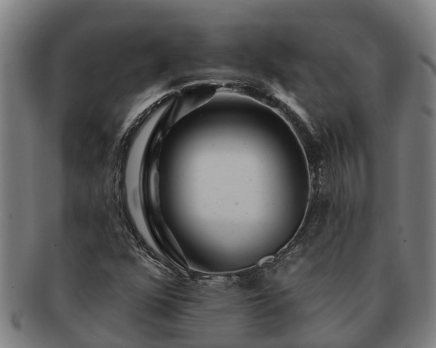 X0000091721352200708311129
