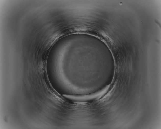 X0000091721353200708311129