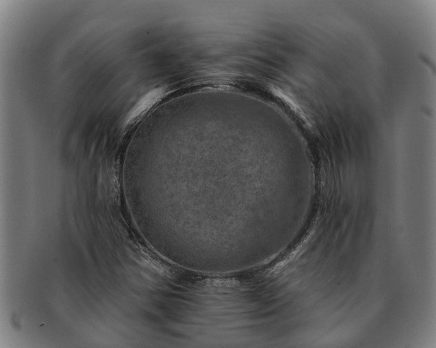 X0000091721354200708311129